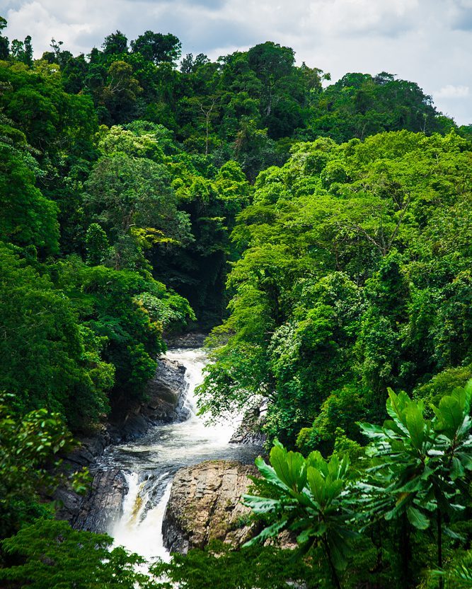 Nature and Local Experience in Calabar