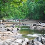 Eco Tourism in Pandam Wildlife Park